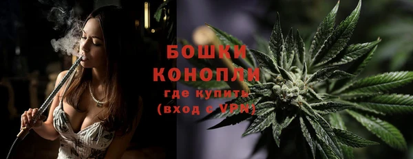 винт Вяземский