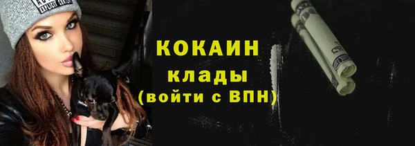 винт Вяземский