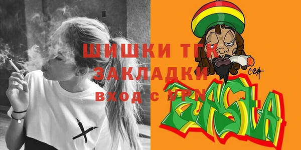 винт Вяземский